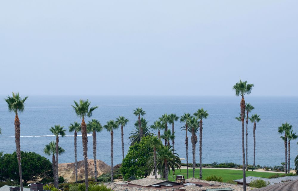 Pines Park in Dana Point, CA