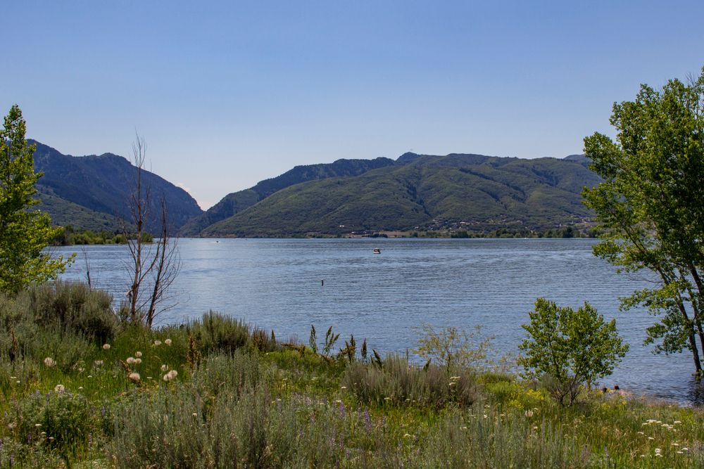 Pineview Reservoir
