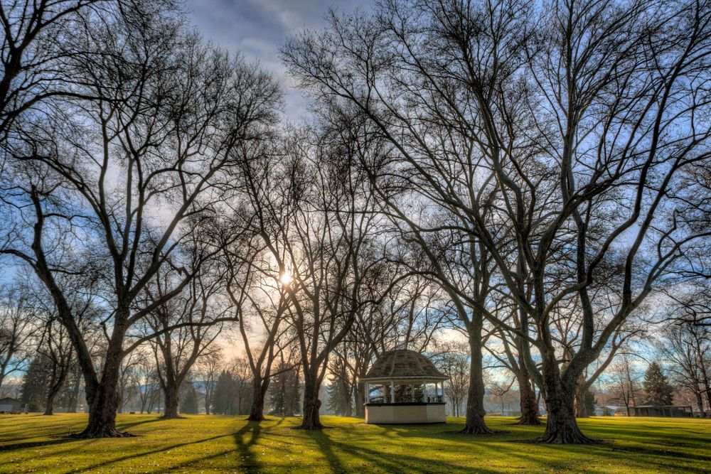 Pioneer Park