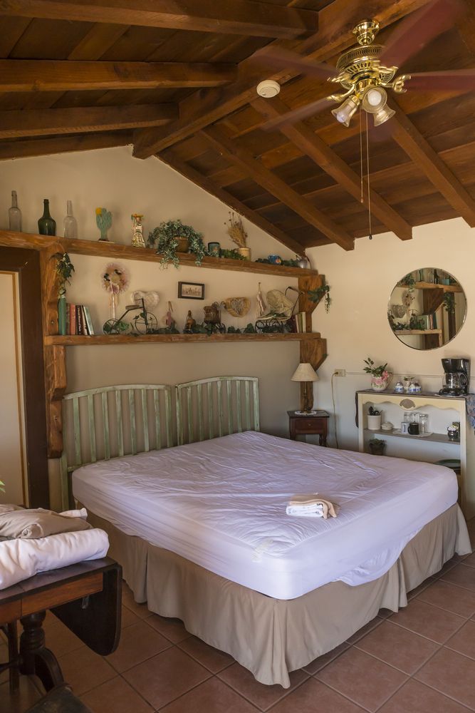 Interior view of the room with beds and other things