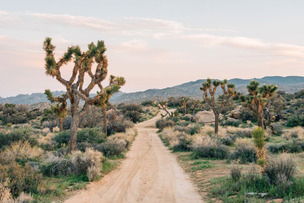 Dusty pathway at Pioneertown Mountains Reserve