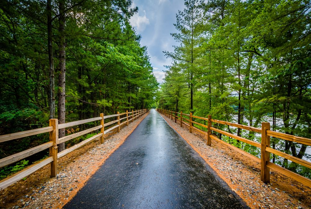 Scenic view of Piscataquog Trail
