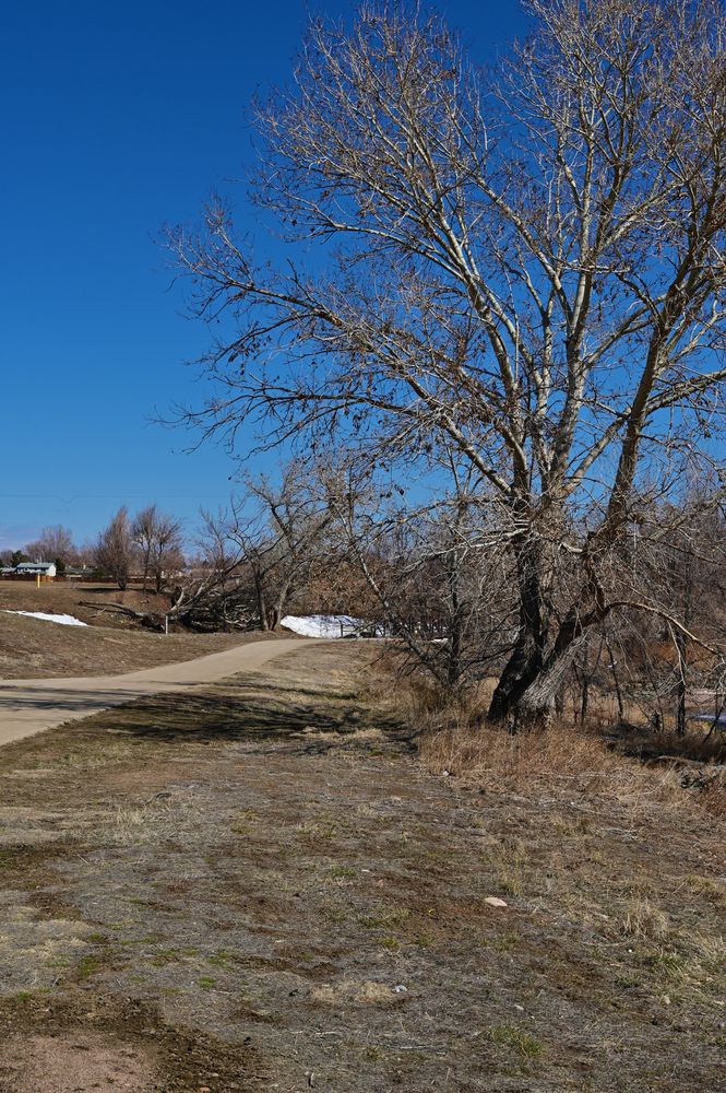 Scenic view of Platte River Trailhead Park
