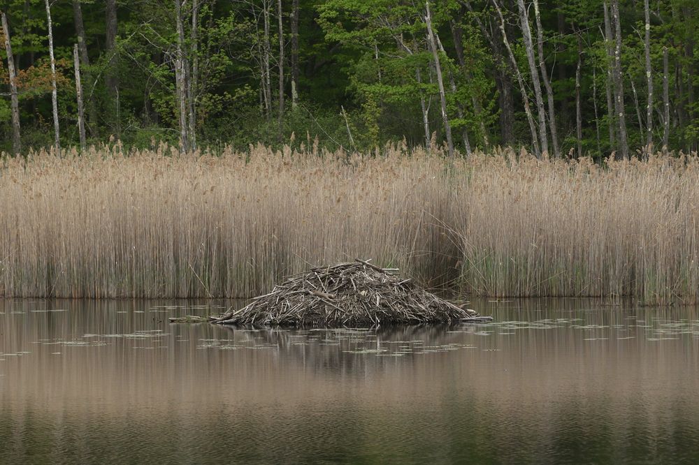 The waters of Pleasant Valley Wildlife sanctuary