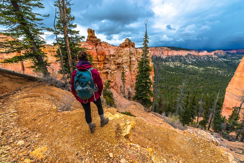 A hiker enjoying the view of Ponderosa Canyons