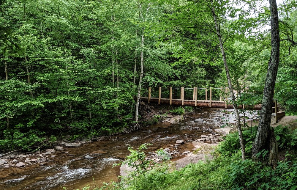 Hanging bridge at Porcupine Mountains Wilderness State Park