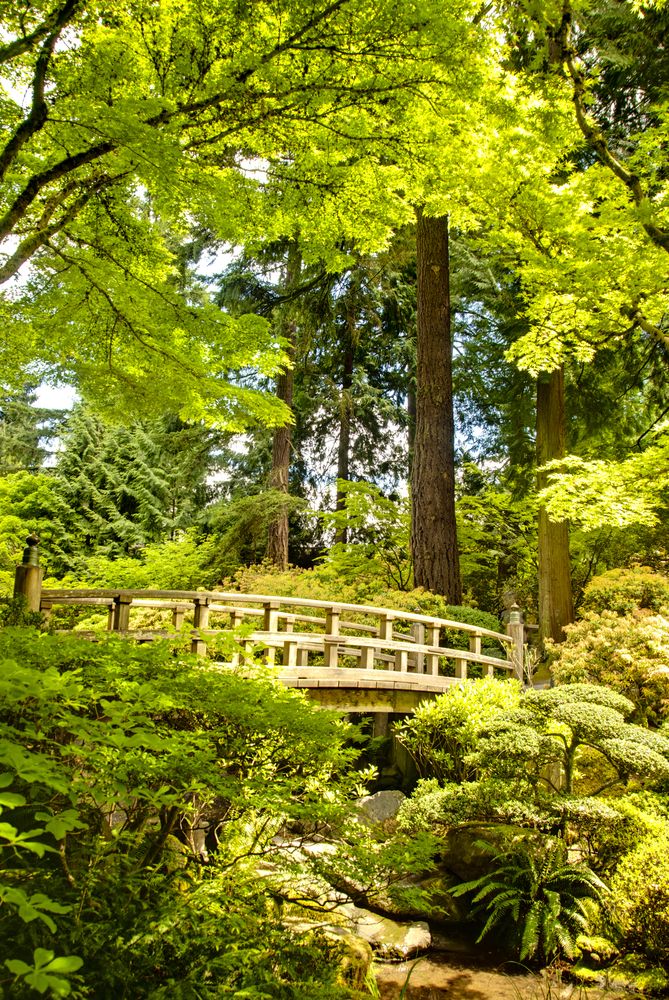 Wooden pedestrian bridge at Portland Japanese Garden