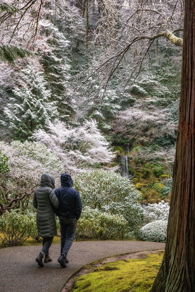A couple strolling through the Portland Japanese Garden