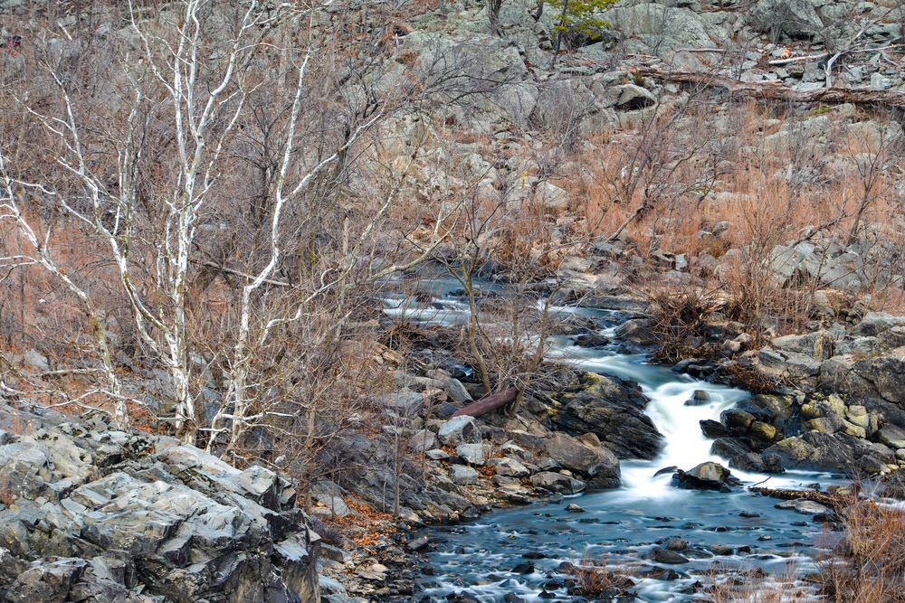 Potomac River flowing through Great Falls National Park