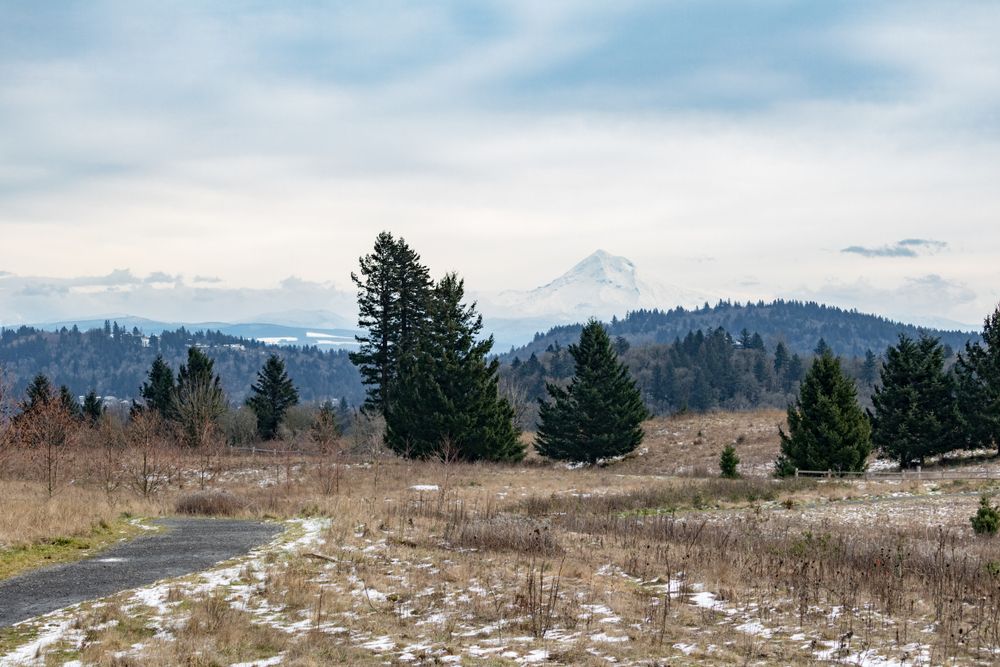 Landscape of the Powell Butte Nature Park