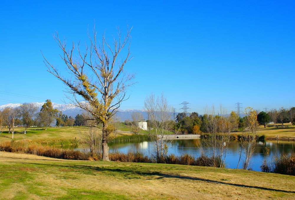 Prado Regional Park