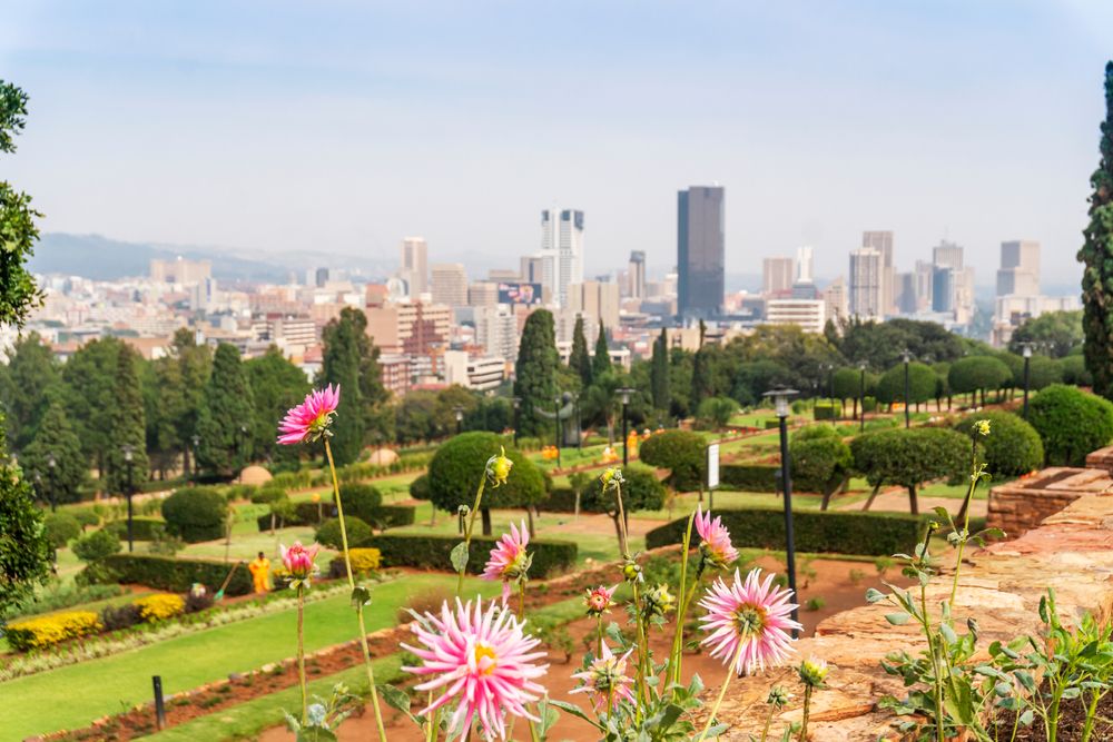 Flowers at a garden in Pretoria