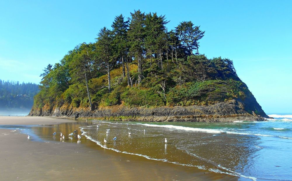 Closer view of the Proposal Rock at Neskowin