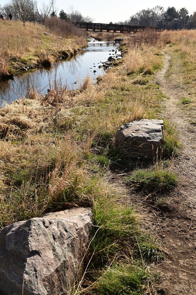 Creek at Ralston Central Park