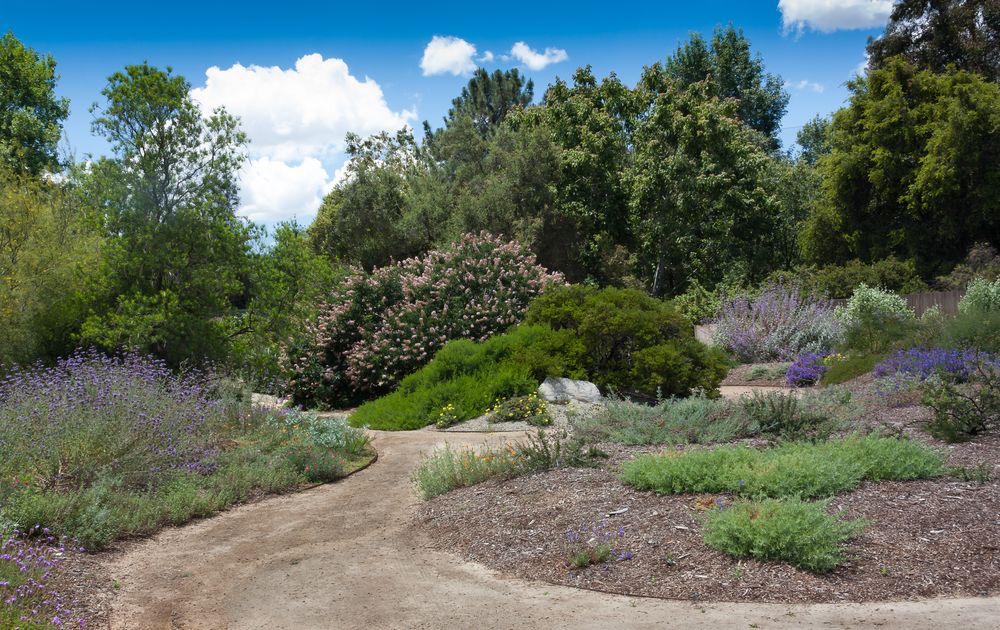Daytime view of Rancho Santa Ana Botanic Garden