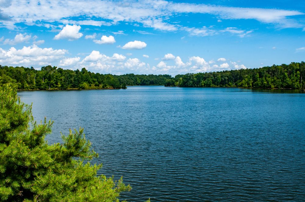 Randleman Lake