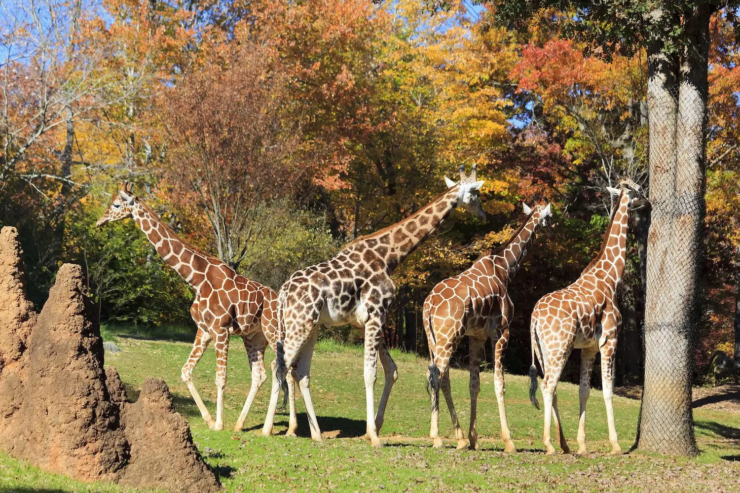 15 Best Things to Do in Randolph County, NC