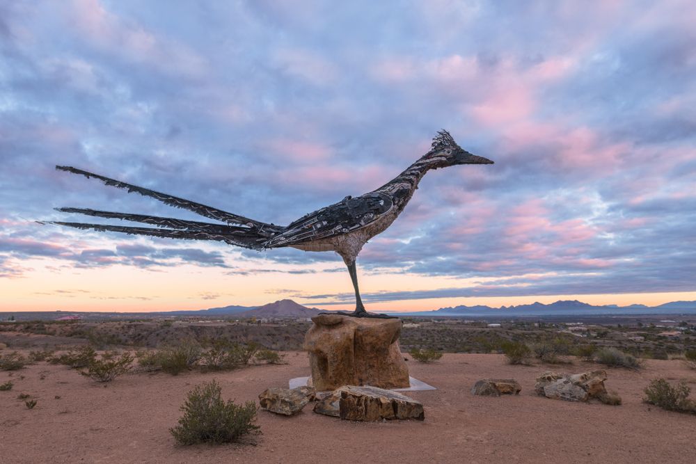View of Recycled Roadrunner Sculpture