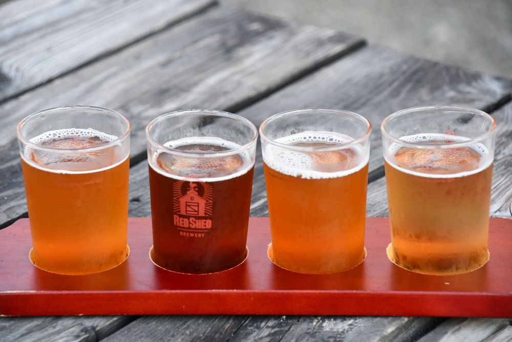 Beers at Red Shed Brewery