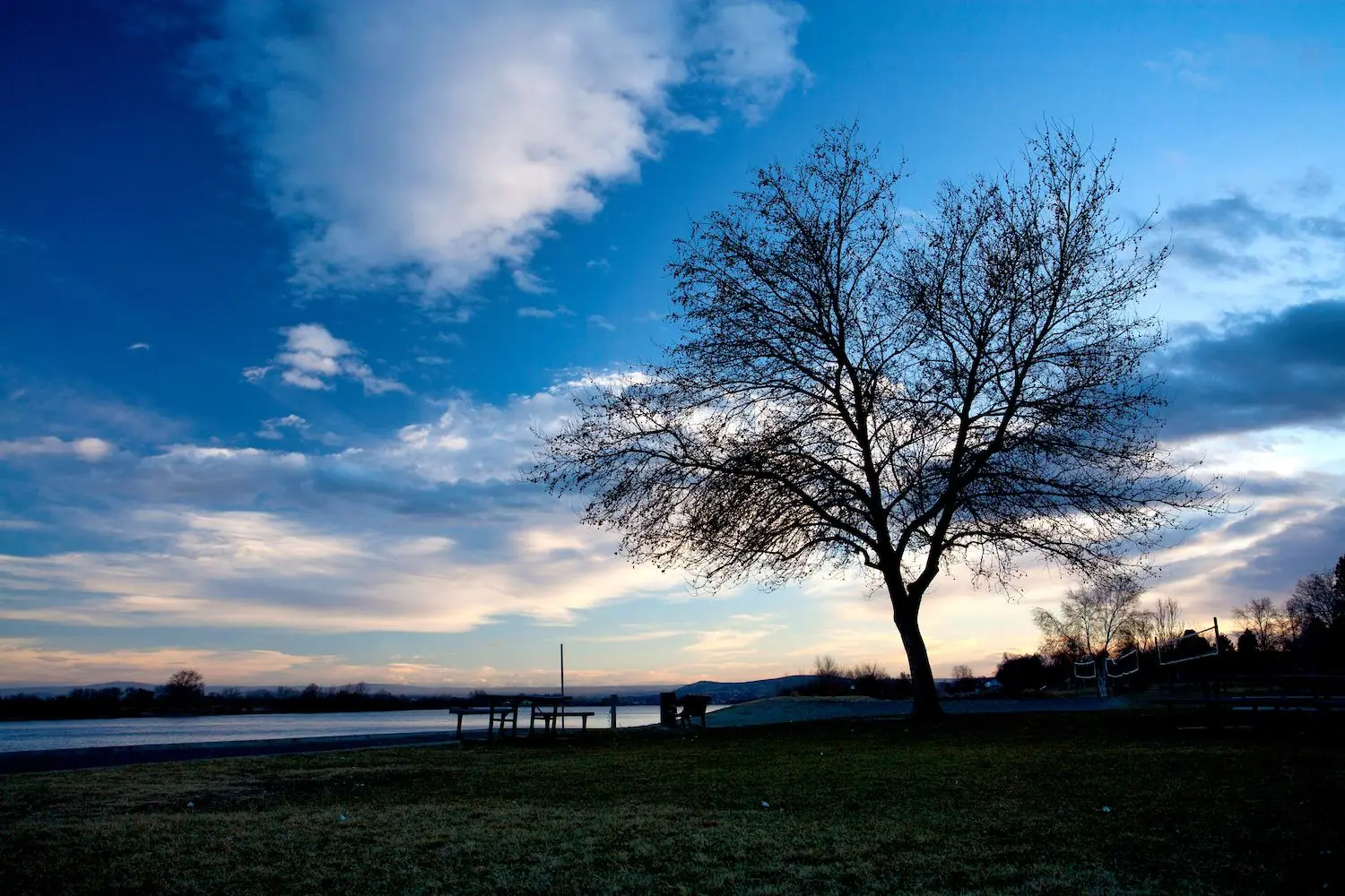 15 Best Things to Do in Richland, WA