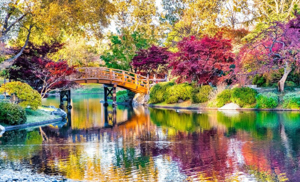 A wooden footbridge arching over a still pond that mirrors the autumn leaves