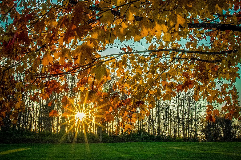 Scenic View of Ridley Creek State Park