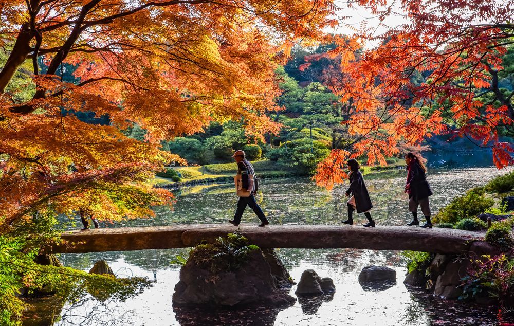 Rikugien Garden