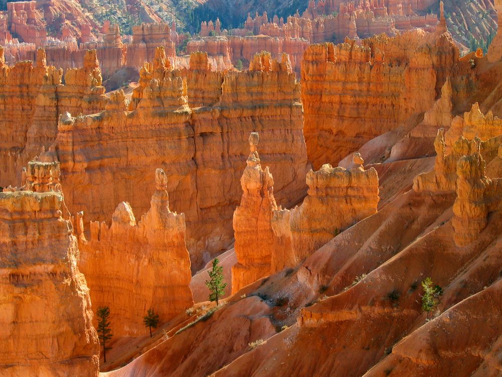 View from Rim Trail