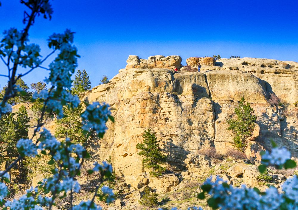 People enjoying the view from the top at Rimrocks