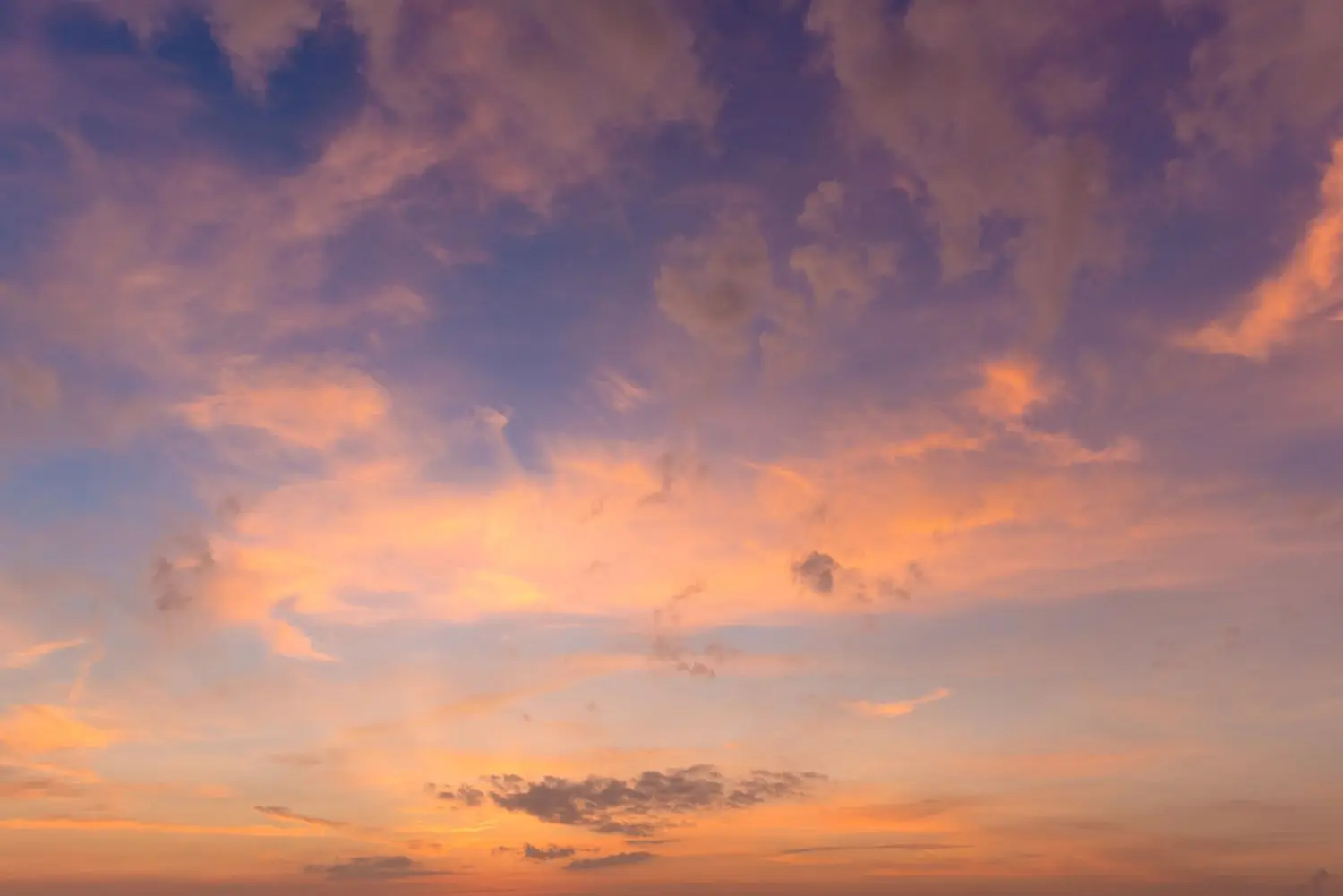 17 Best Things to Do in Ringgold, GA