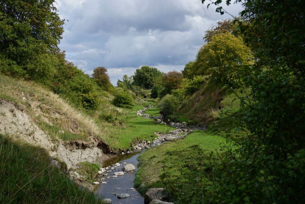 A stream flowing through the rocks and pastures at Rinnebacksravinen