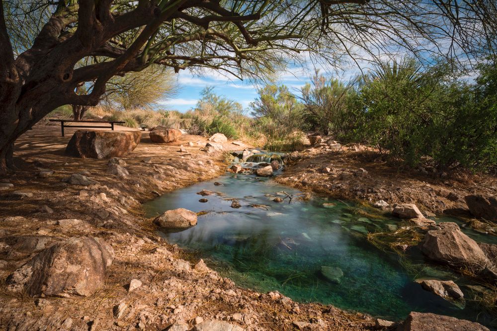 The waters of Riparian Preserve
