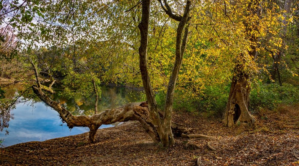 Scenic view along the Rivanna Trail 
