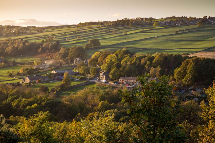 Rivelin Valley Natural Trail