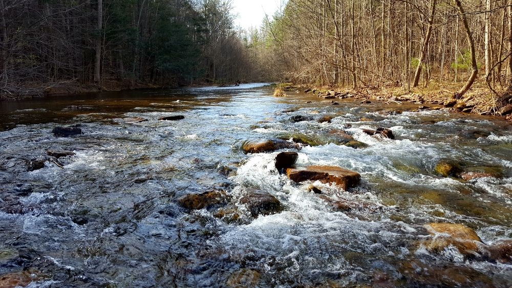 Roanoke River flowing through wilderness.