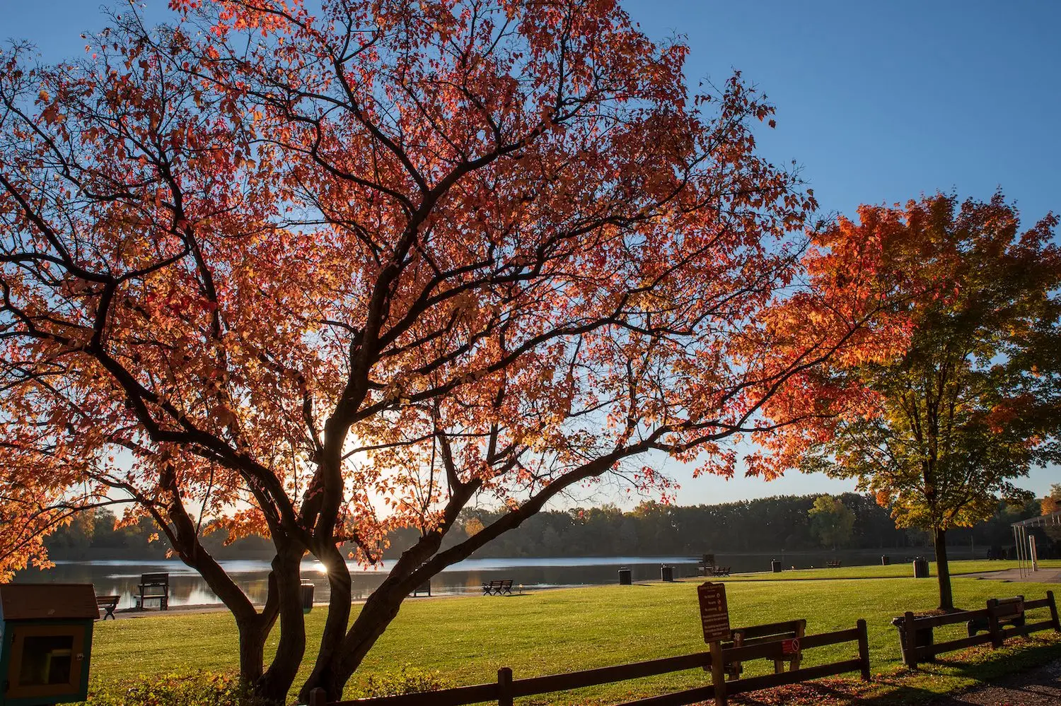 20 Best Things to Do in Rochester Hills, MI