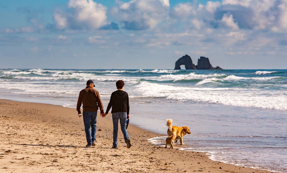 A couple walking with their dog along the shore of Rockaway Beach.