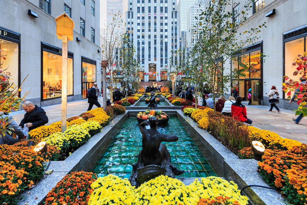 Beautiful flowers and fountain at Rockefeller Center