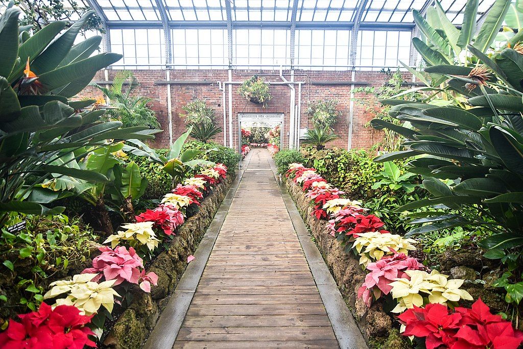 Garden at Rockefeller Park Greenhouse