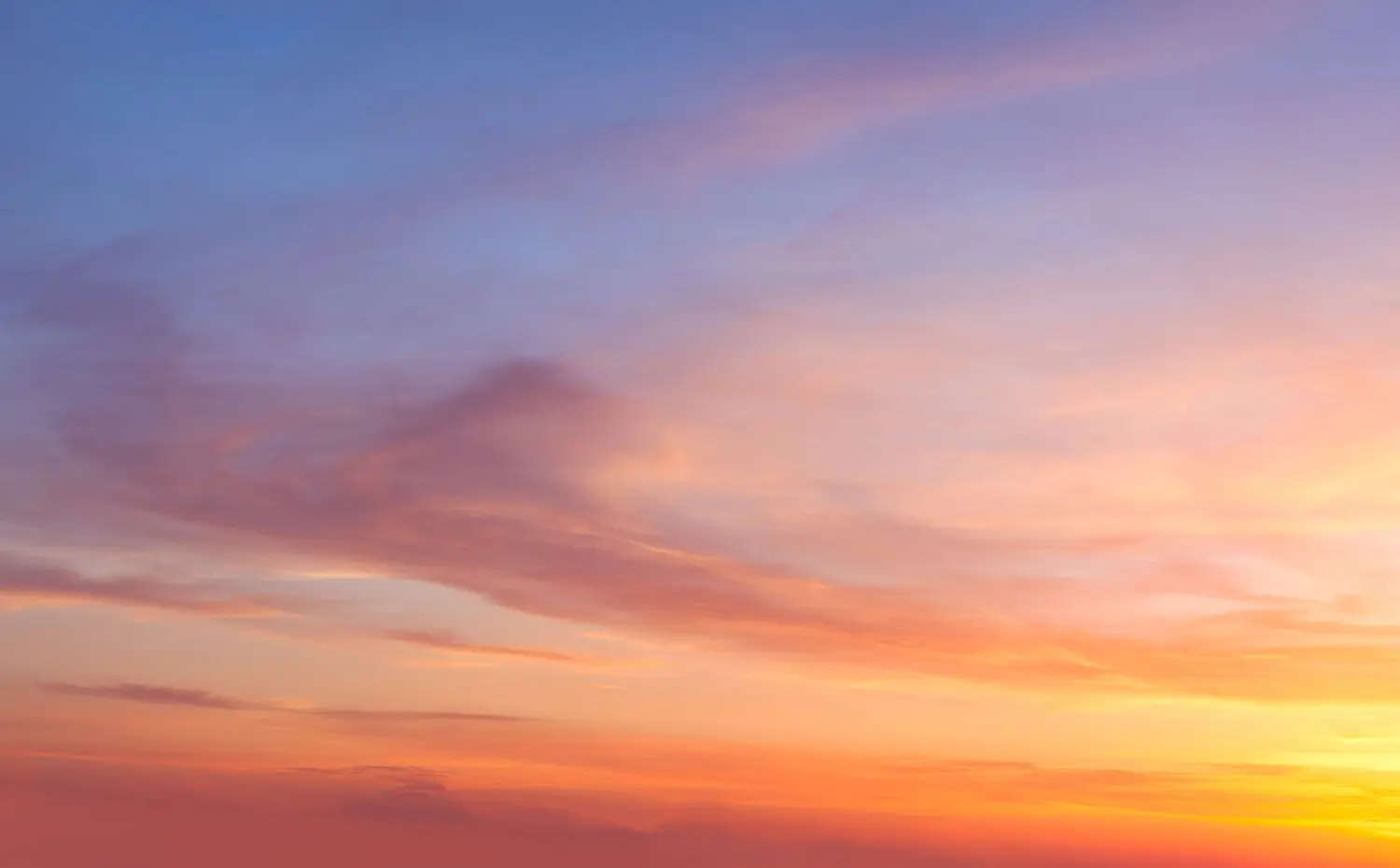 15 Best Things to Do in Rockingham, NC