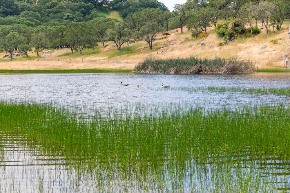 Rockville Hills Regional Park
