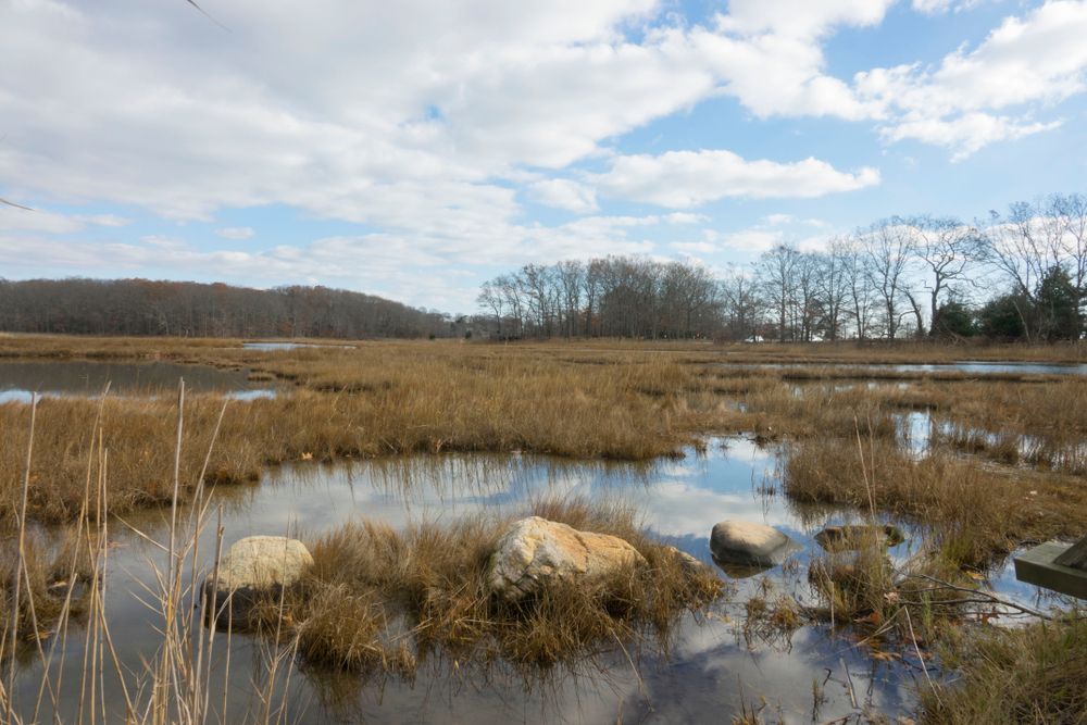 Landscape of Rocky Neck State Park