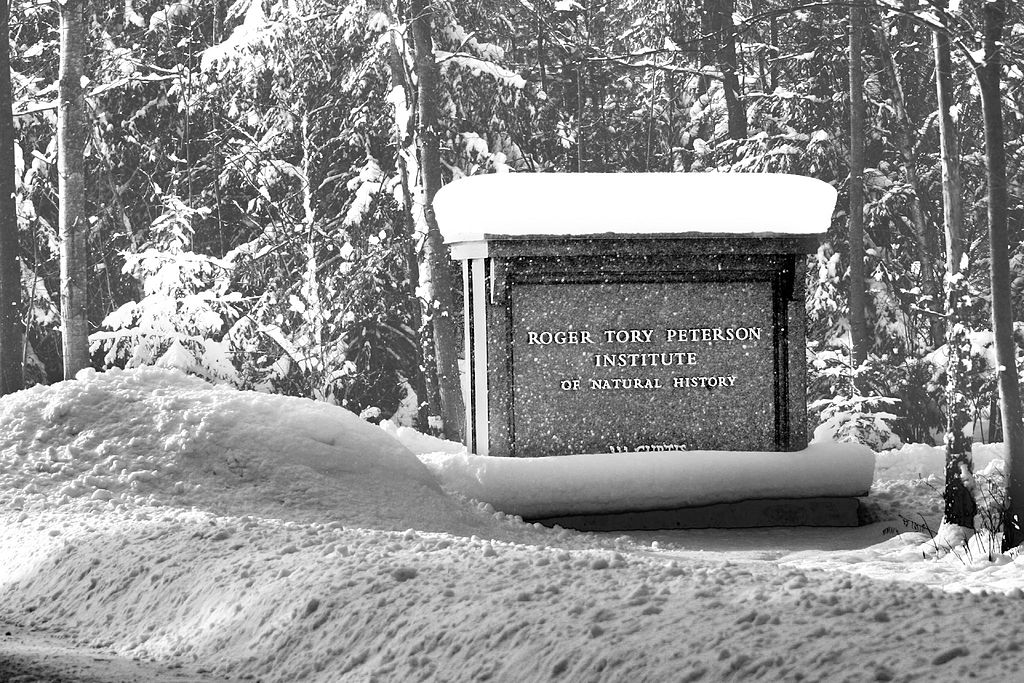 Roger Tory Peterson Institute of Natural History during snow