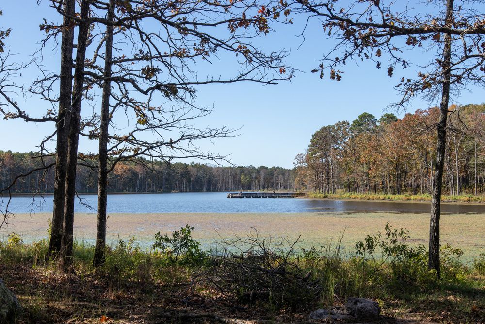Daytime view of a lake at Mark Twain National Forest
