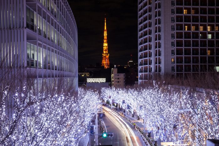 Roppongi Keyakizaka Dori