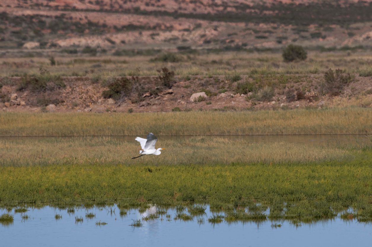 Bitter Lake National Wildlife Refuge at Roswell, New Mexico