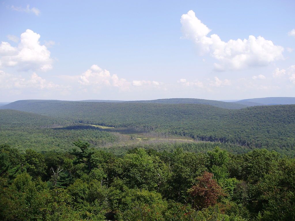 Daytime view of Rothrock State Forest