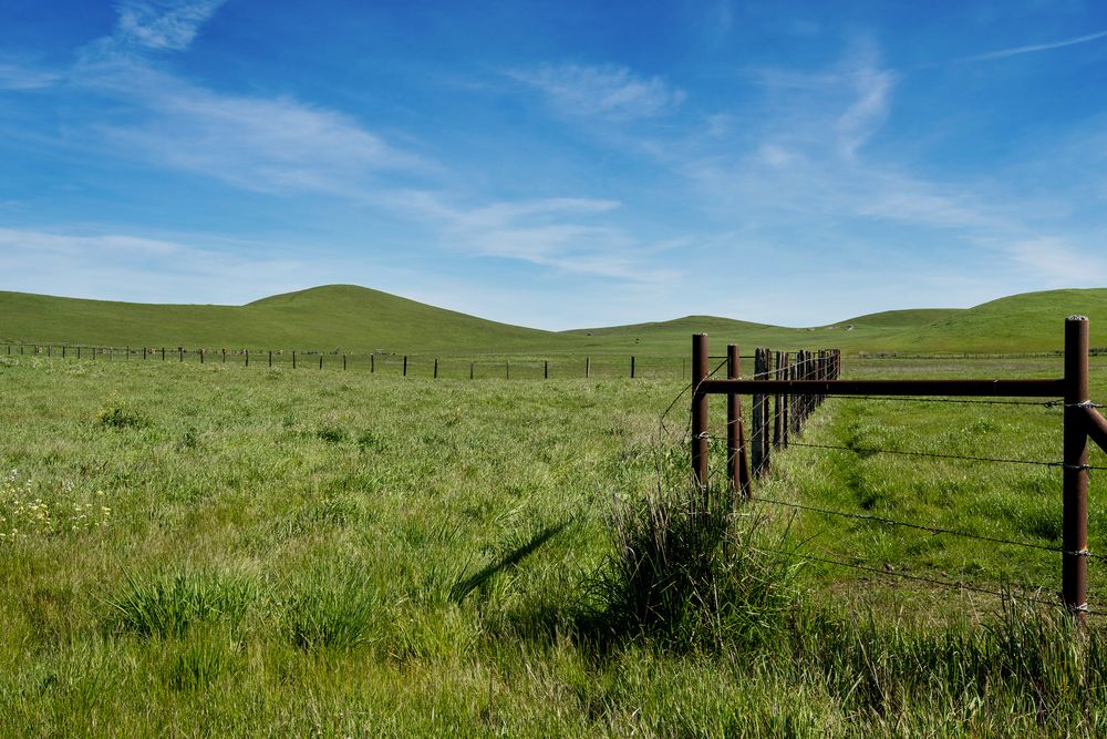 Rush Ranch Open Space