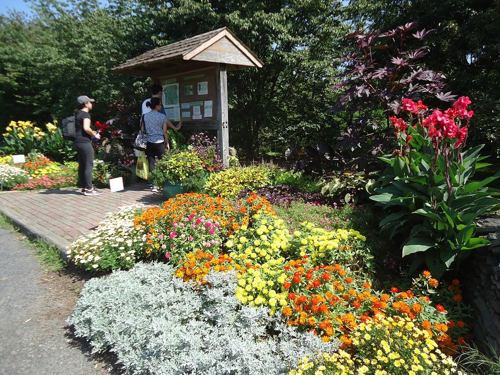 Vibrant flowers of Rutgers Gardens