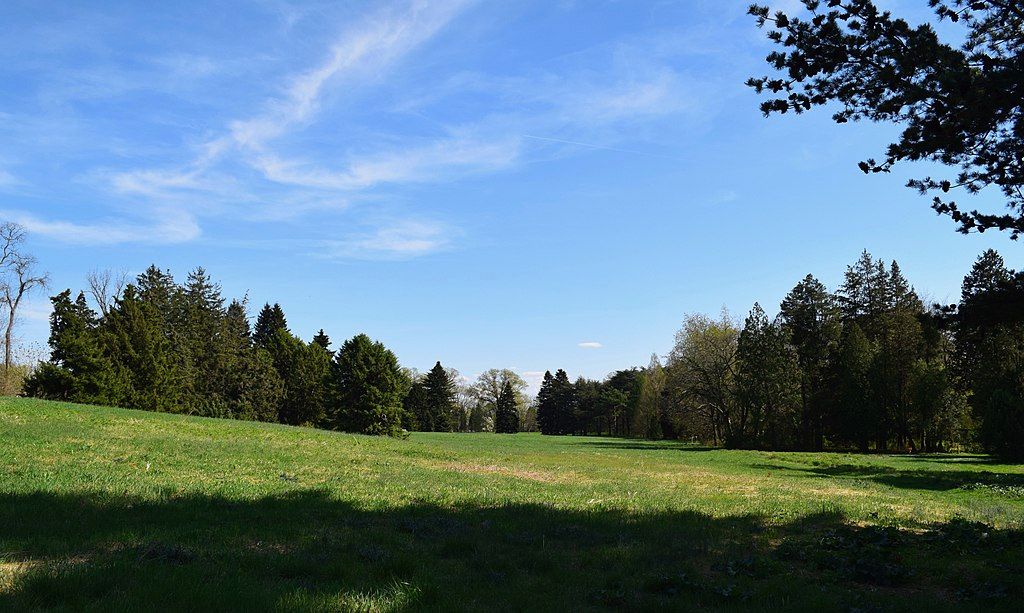 Landscape of the Ryan Pinetum